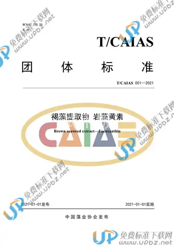 T/CAIAS 001-2021 免费下载