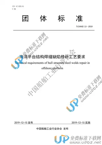 T/CANSI 13-2019 免费下载