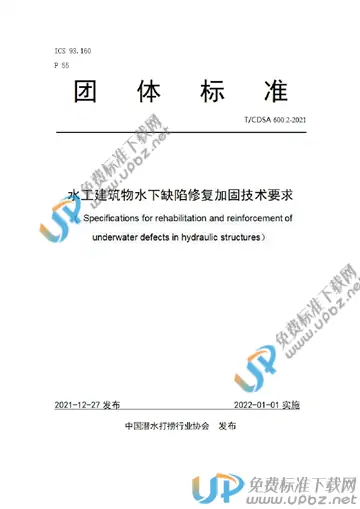 T/CDSA 600.2-2021 免费下载