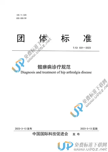 T/CI 031-2023 免费下载