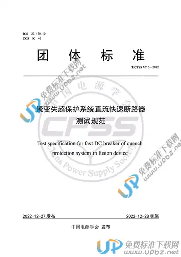 T/CPSS 1010-2022 免费下载