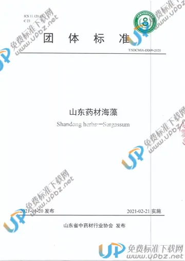 T/SDCMIA DD09-2020 免费下载