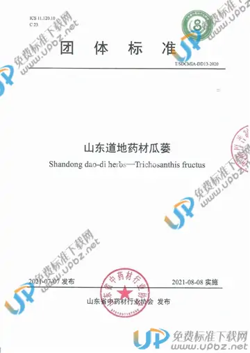 T/SDCMIA DD13-2020 免费下载