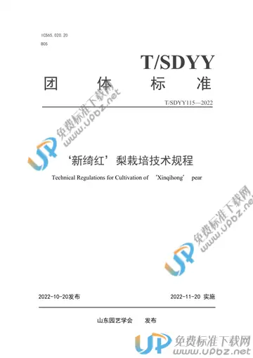 T/SDYY 115-2022 免费下载